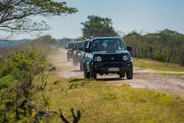 v2 jeep safari florencia 012 vnmm70