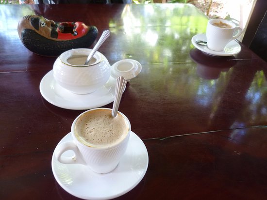 casa museo del cafe