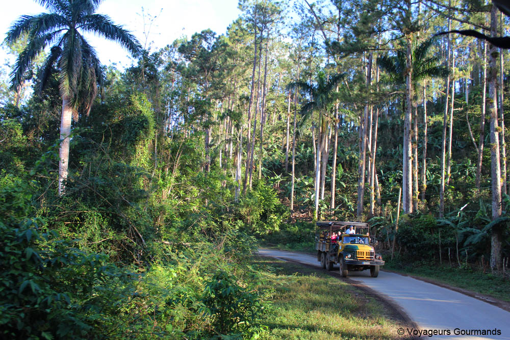 topes de collantes