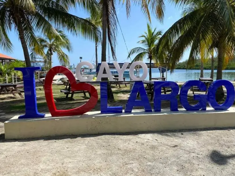 imagen8