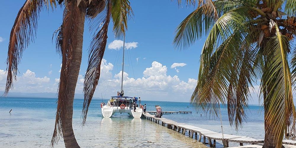 cayo iguana en trinidad 1 0020 layer 11