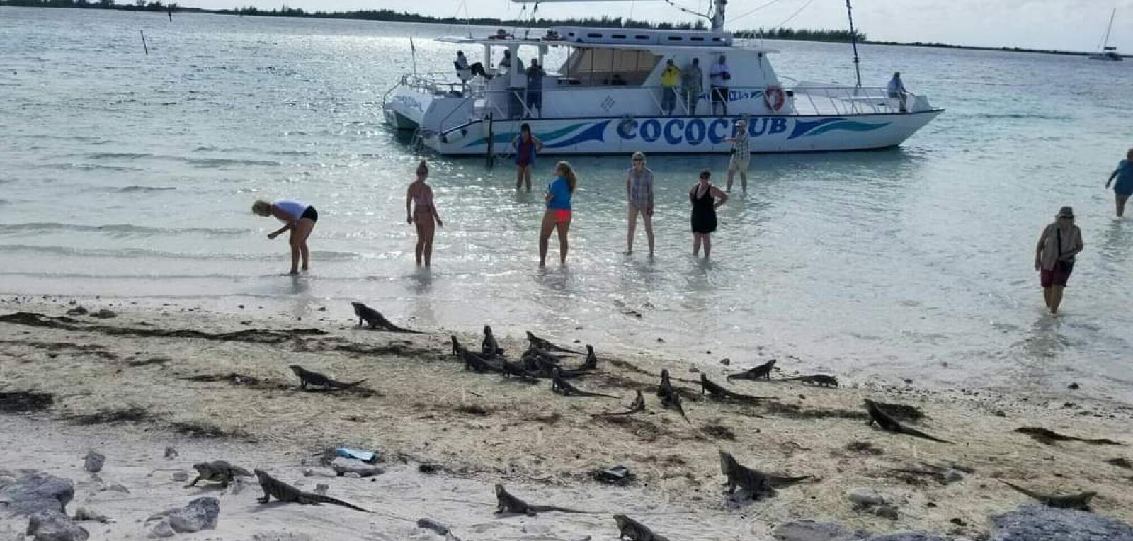 isla cayo iguanas 1