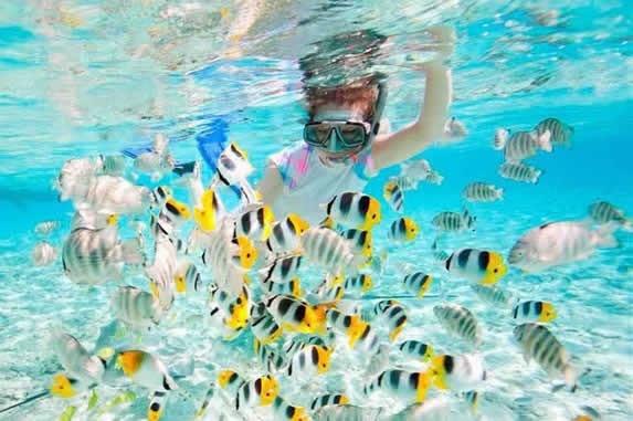 peces barrera coralina cayo coco cayo guillermo