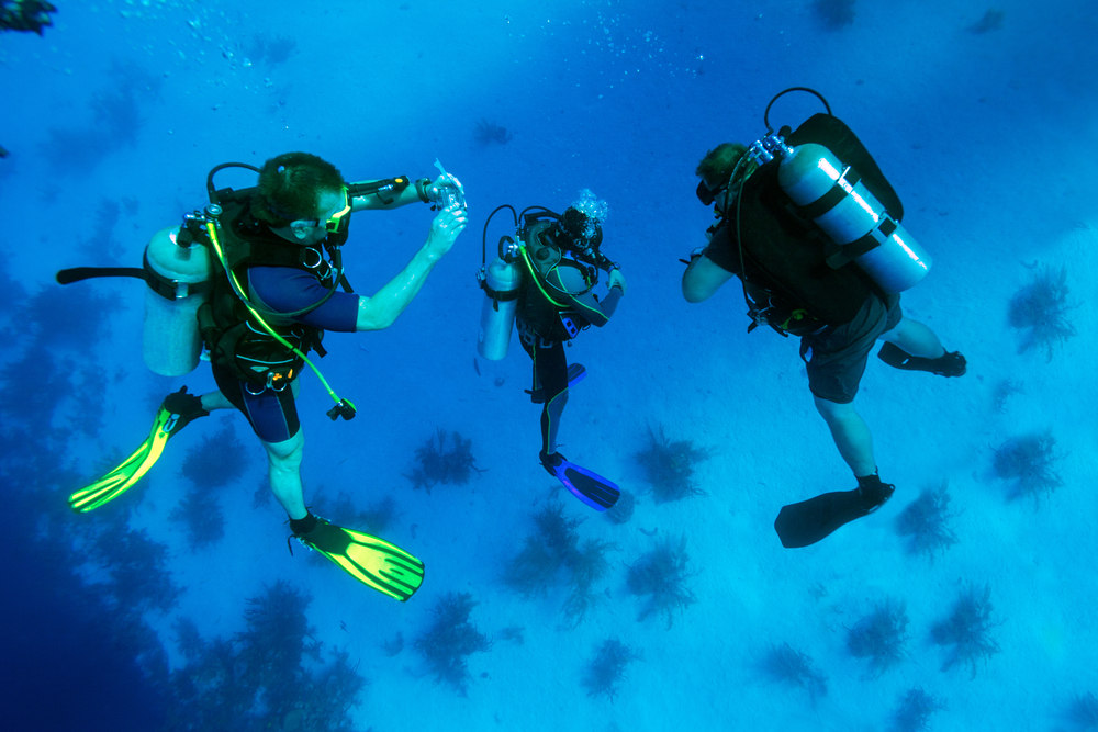 buceo
