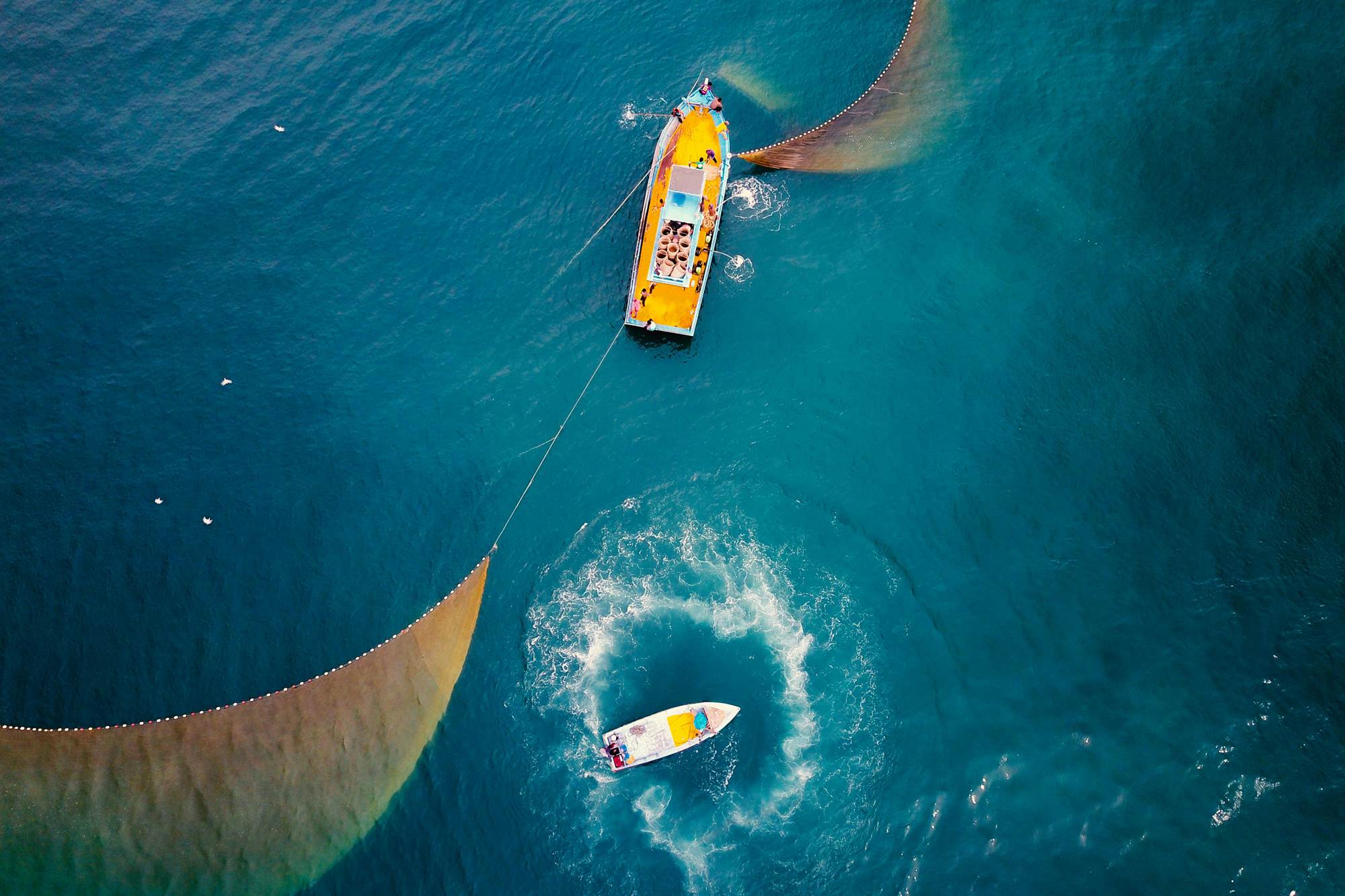 pesca de altura