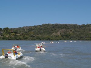 imagen1