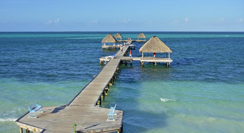 melia cayo guillermo 14810245662