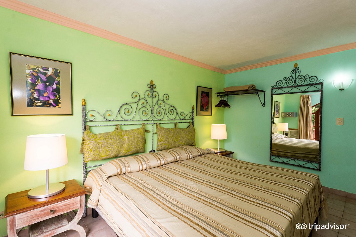 suite v16160184