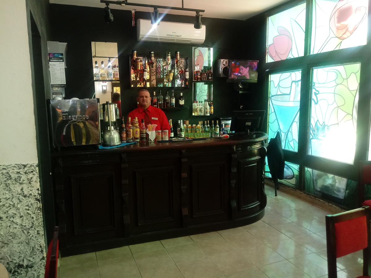 tulipan 1 155067418326