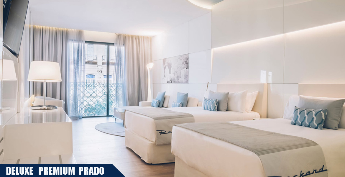 deluxe premium prado