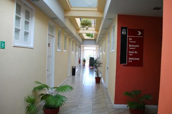hotel rex 3