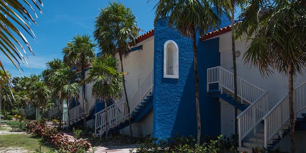 villa iguana edb2329e41b7900b1f2c2d1ab54bdf12247e5c05