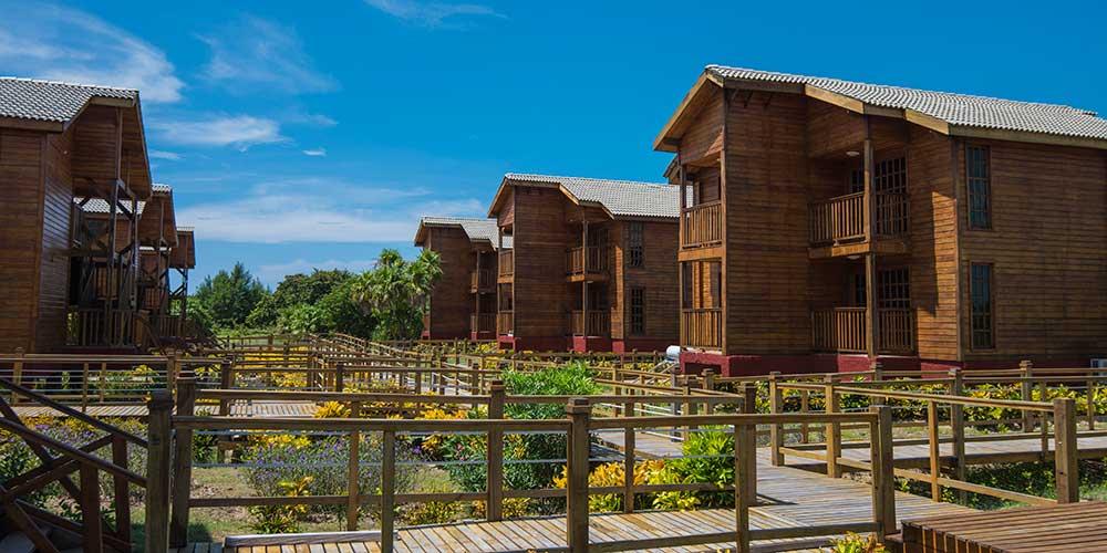 villa iguana 6ac530ad6c2466ff980b9bba469cb743f9b11ad0