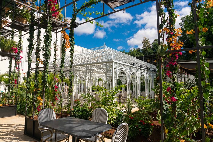 pergolas exteriores