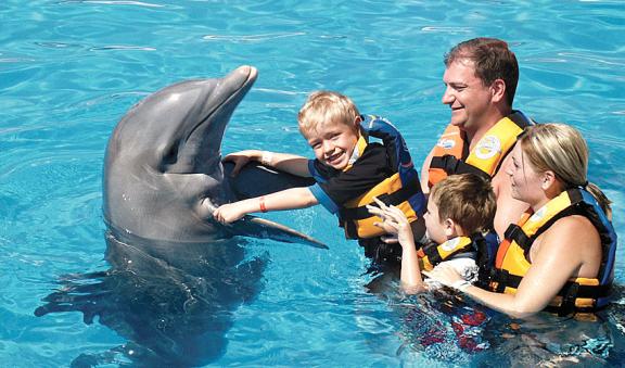 dolphinencounter1 tr39
