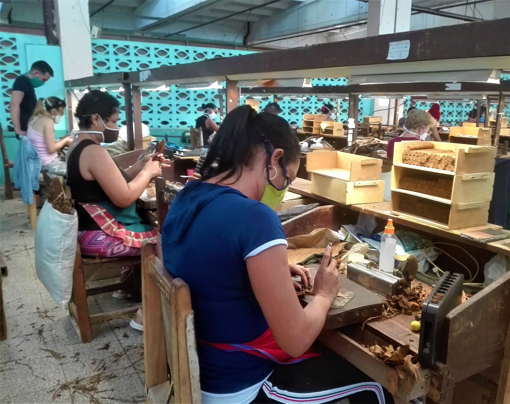 tabaco cuba holguin economia 2020