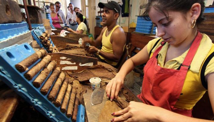 766 fabrica tabacos