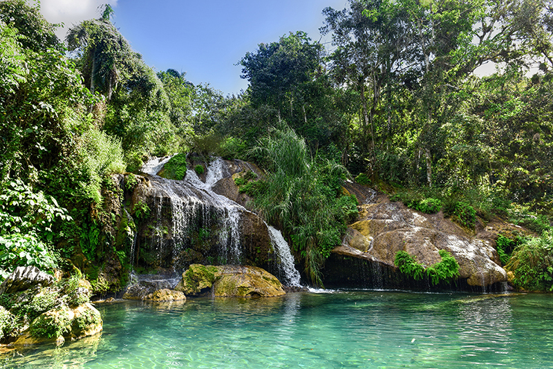el nicho sierra de escambray