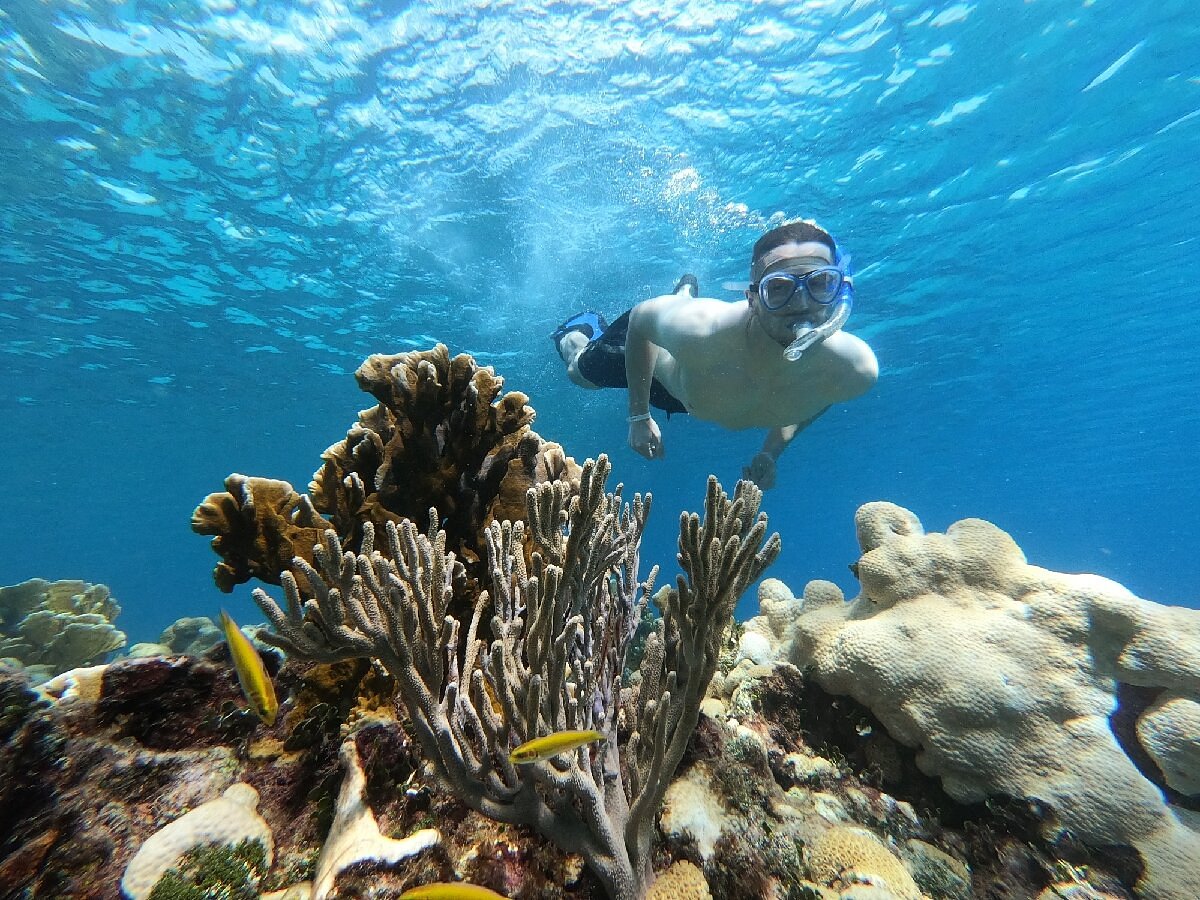 hermosa toma con snorkeling