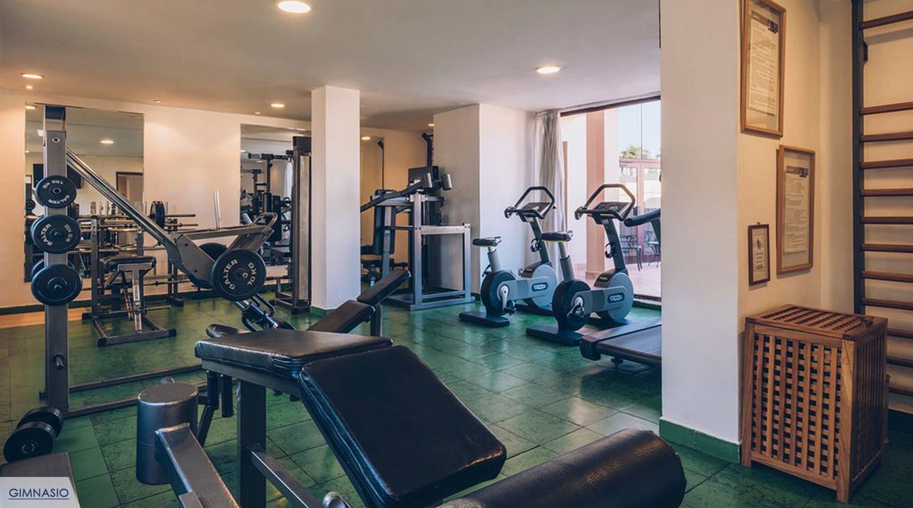 gimnasio