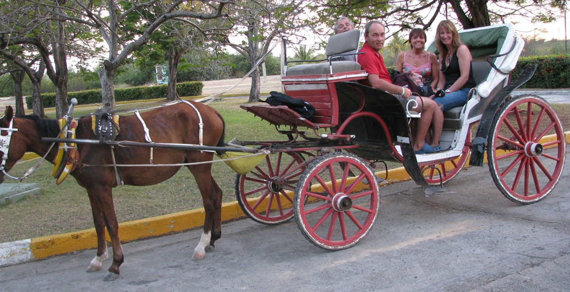 drawn cart golden horse 520652 5434987