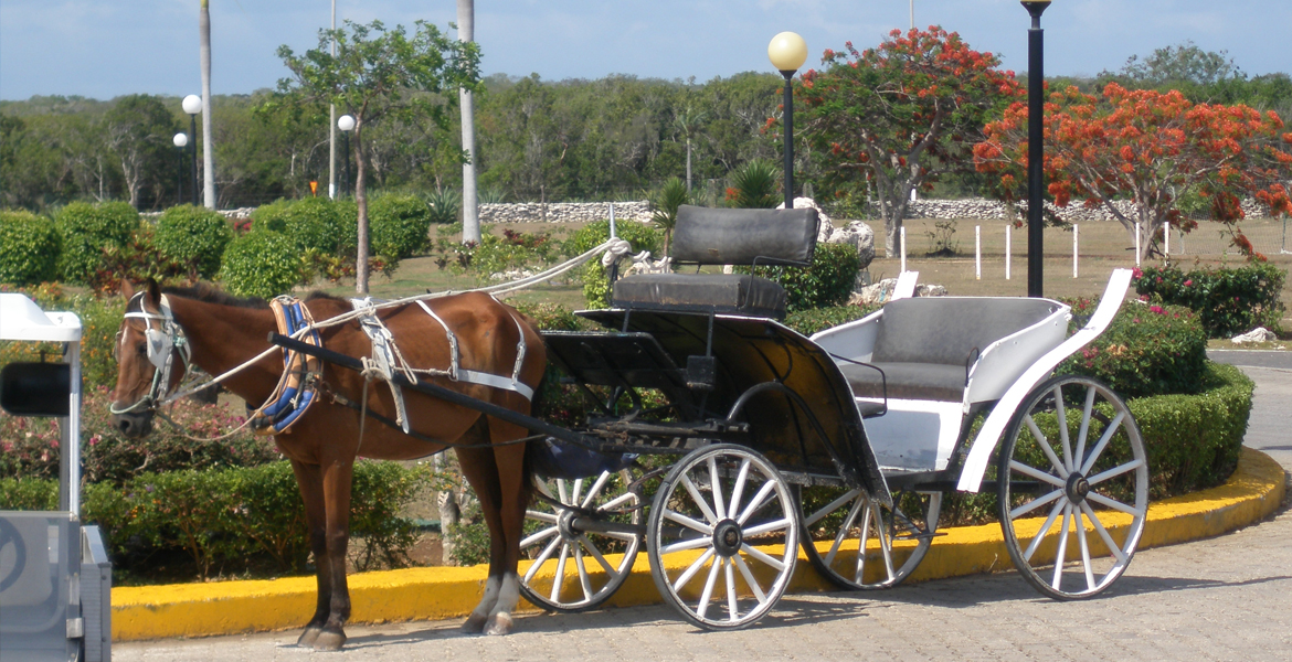 tryp cayo coco cuba   panoramio