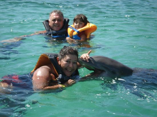 nadando con delfines