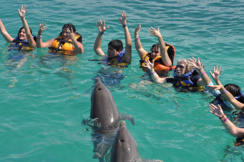 nadar con delfines en cuba2