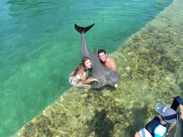 bac3b1o con delfines cayo santa maria1776 fullxfull 000000