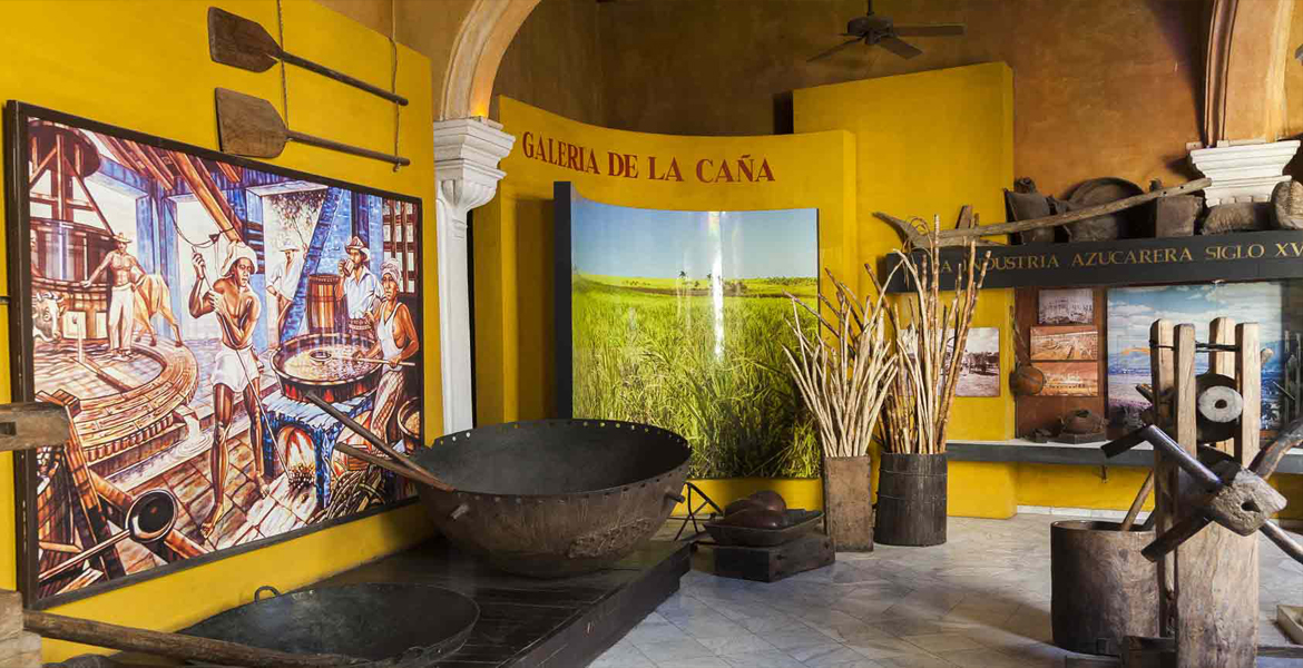 museo del ron2 1