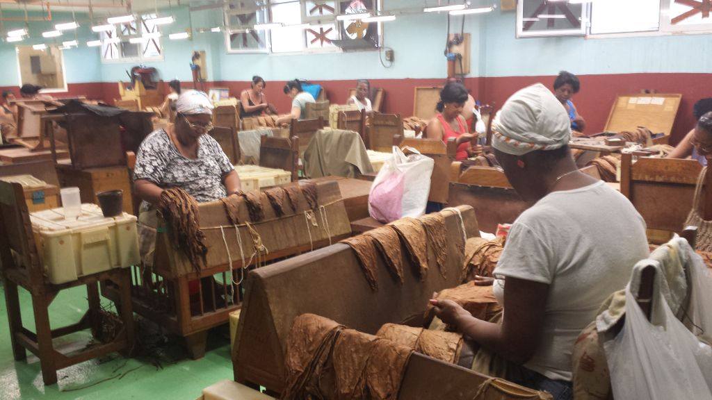 fabrica tabaco cuba1