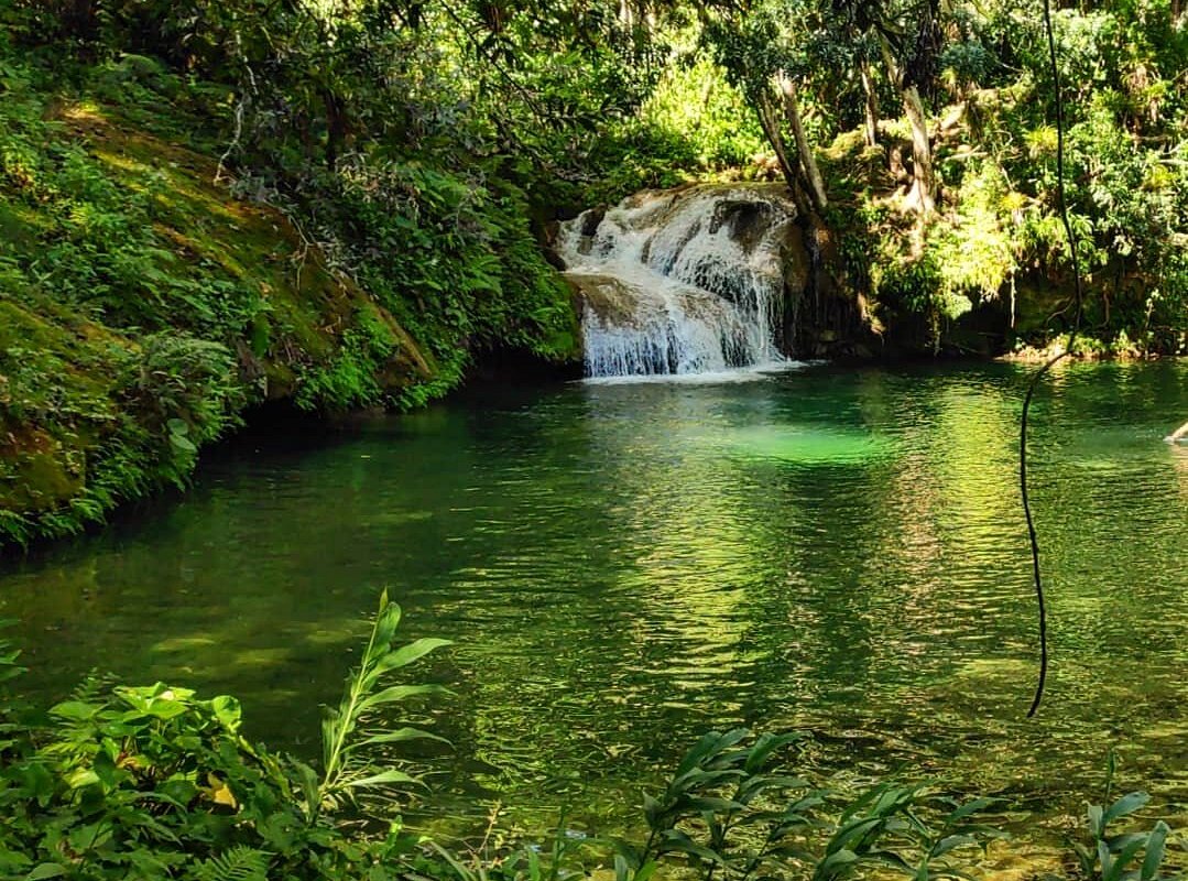 poza del venado en el