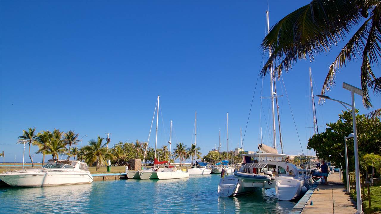 234304 marina hemingway