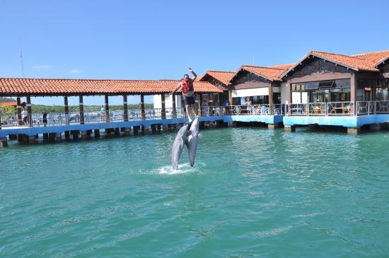 parco naturale di bahia