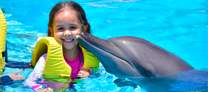 10 mejores lugares para nadar con delfines