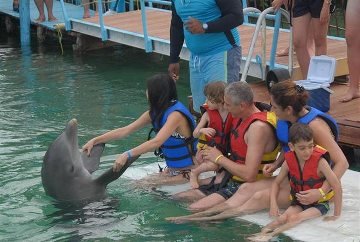 ciencia de cuba ciencia cubana beneficios de banarse con delfines 1