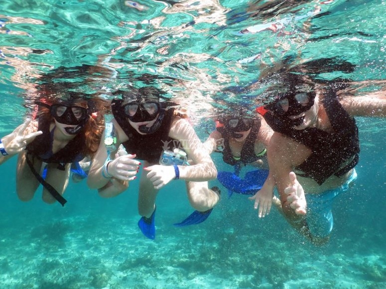 tb p 53637 scuba family 15091284201580