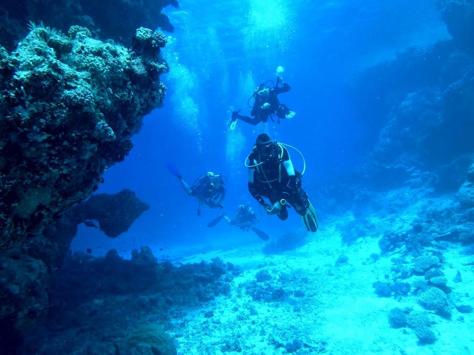 buceo en cayo largo del sur 4