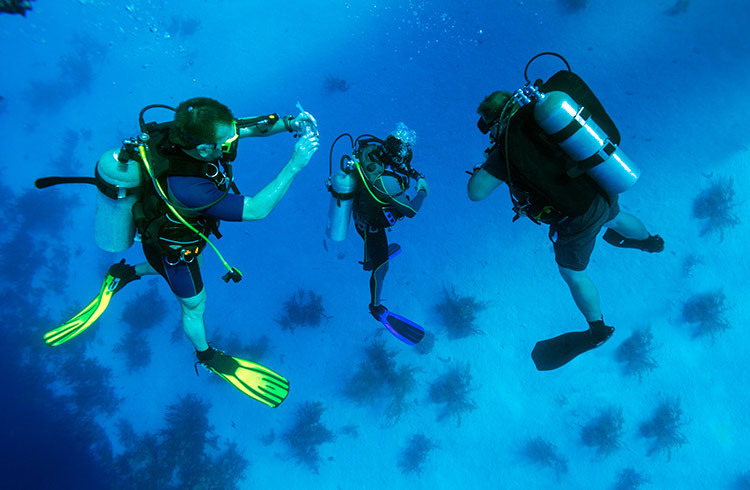 cuba scuba diving