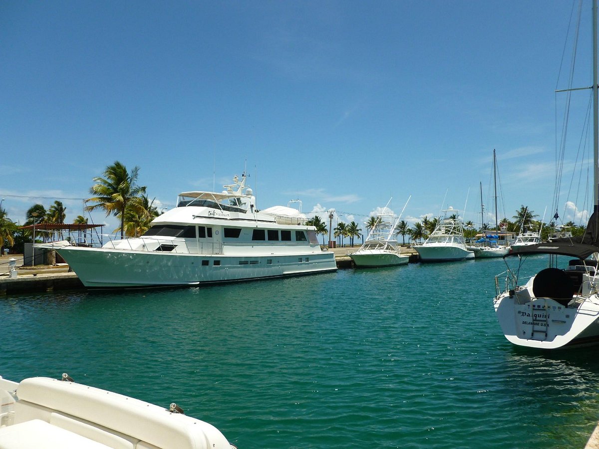 ernest hemingway marina