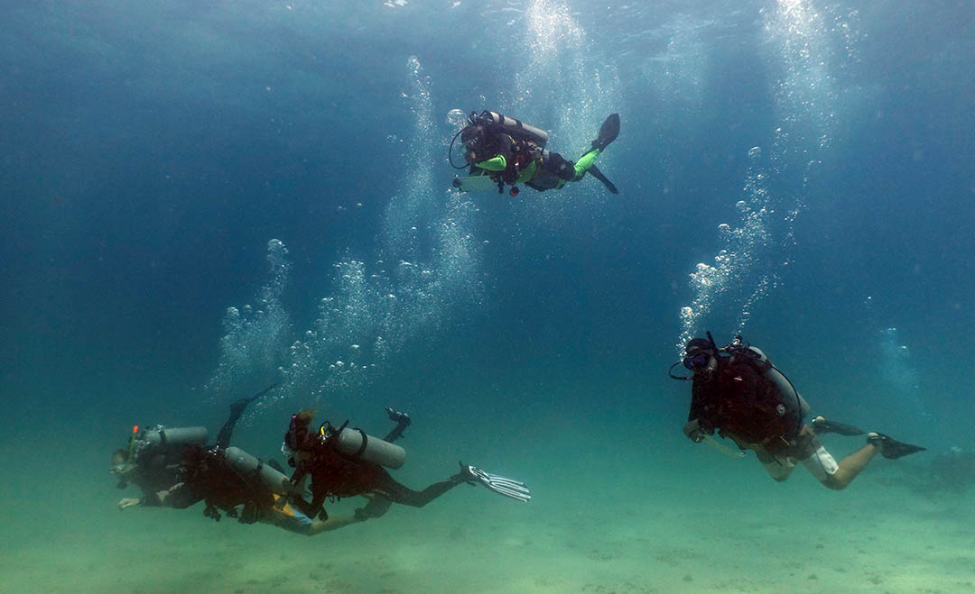 crystal dive koh tao idc open water presentations navigation