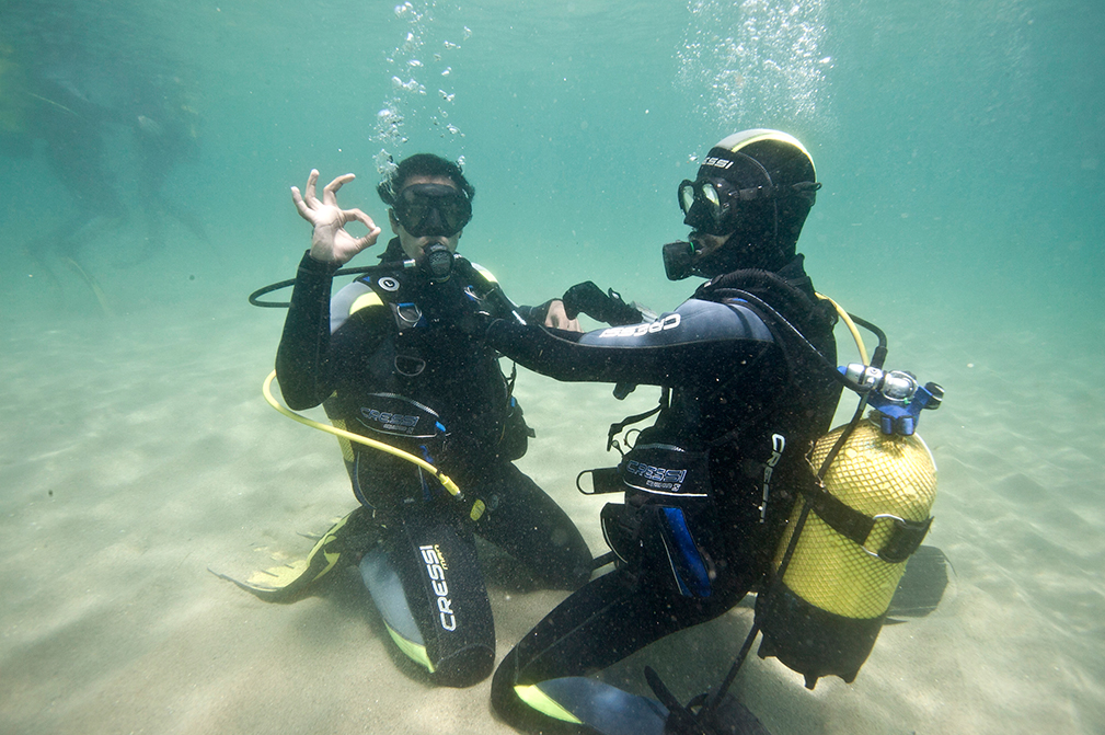 discover scuba