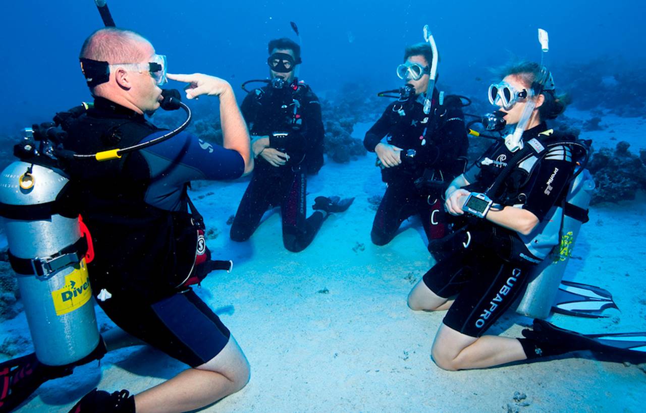 padi scuba diver
