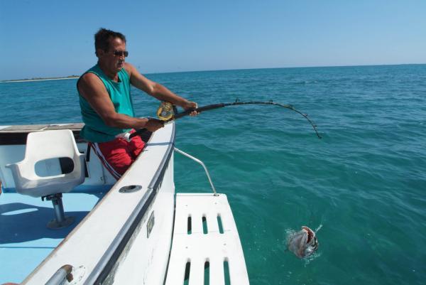 pesca de altura4457 fullxfull 000000